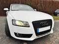 Audi A5 #CABRIO#TÜV#SERVICE#AHK#8.FACH-BER#SITZBELÜFT Weiß - thumbnail 9