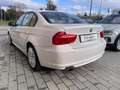 BMW 320 CATENA FATTA  320d Futura c/pelle 184cv Weiß - thumbnail 4