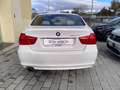 BMW 320 CATENA FATTA  320d Futura c/pelle 184cv Weiß - thumbnail 6