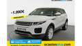 Land Rover Range Rover Evoque 2.0TD4 Pure 4WD 150 Blanco - thumbnail 1