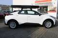 Toyota C-HR Hybrid FWD Flow DACHZELT*Fahrradträger*wenigKm Weiß - thumbnail 8