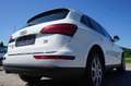 Audi Q5 2,0 TDI quattro Intense Blanc - thumbnail 6