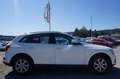 Audi Q5 2,0 TDI quattro Intense Blanc - thumbnail 7