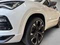 CUPRA Ateca 2.0 TSI 4Drive DSG Weiß - thumbnail 4
