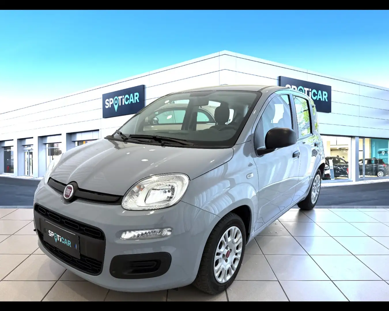 Fiat Panda 1.0 FireFly Hybrid Grigio - 1