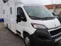 Peugeot Boxer Bureau/Reception Bureau/Accueil L3H3 Pro BlueHDi 130 Blanc - thumbnail 2