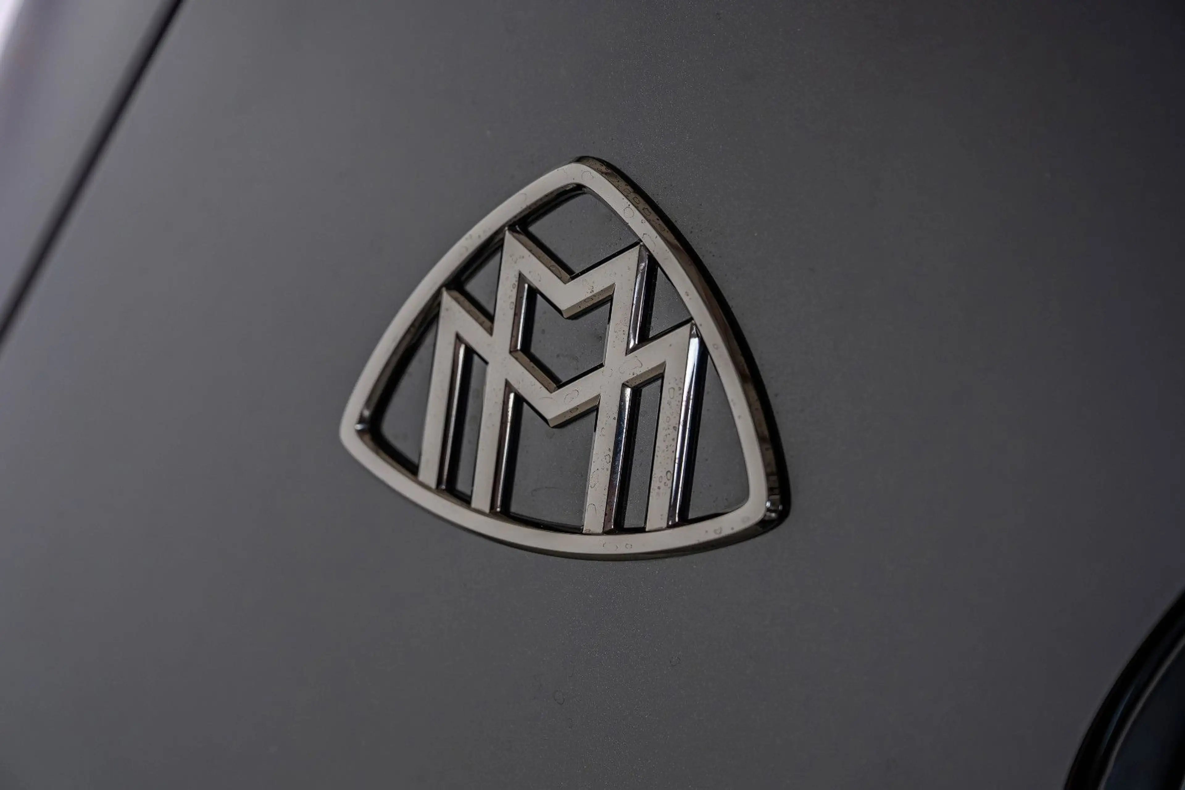 Mercedes-Benz GLS 600 Maybach NIGHT SERIES — photo 16