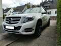 Mercedes-Benz GLK 220 GLK 220 CDI (BlueEFFICIENCY) Weiß - thumbnail 1