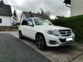Mercedes-Benz GLK 220 GLK 220 CDI (BlueEFFICIENCY) Weiß - thumbnail 3