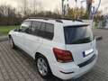 Mercedes-Benz GLK 220 GLK 220 CDI (BlueEFFICIENCY) Weiß - thumbnail 8