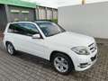 Mercedes-Benz GLK 220 GLK 220 CDI (BlueEFFICIENCY) Weiß - thumbnail 7