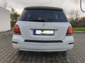 Mercedes-Benz GLK 220 GLK 220 CDI (BlueEFFICIENCY) Weiß - thumbnail 9