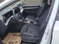 Volkswagen Golf 8 - 4 Zylinder - 115 PS - NEU nur € 26.999,-* Weiß - thumbnail 9