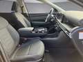 Hyundai TUCSON NX4 Jubile 1,6 T-GDi HEV 2WD AT Schwarz - thumbnail 11
