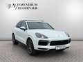 Porsche Cayenne S *1.HAND*SPUR*PANO*PDLS*LNKRDHZG*AHK* Weiß - thumbnail 8
