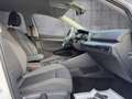 Volkswagen Golf VIII 2.0 TDI Active Weiß - thumbnail 11