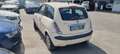 Lancia Ypsilon 1.3 Multijet 16V Oro Beige - thumbnail 4
