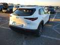 Mazda CX-30 2.0 m-hybrid Exceed 2wd 122cv 6mt Blanc - thumbnail 2