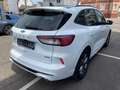 Ford Kuga Plug-In Hybrid ST-Line X Weiß - thumbnail 7