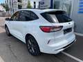 Ford Kuga Plug-In Hybrid ST-Line X Weiß - thumbnail 5