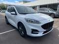 Ford Kuga Plug-In Hybrid ST-Line X Weiß - thumbnail 3