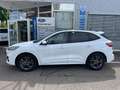 Ford Kuga Plug-In Hybrid ST-Line X Weiß - thumbnail 4