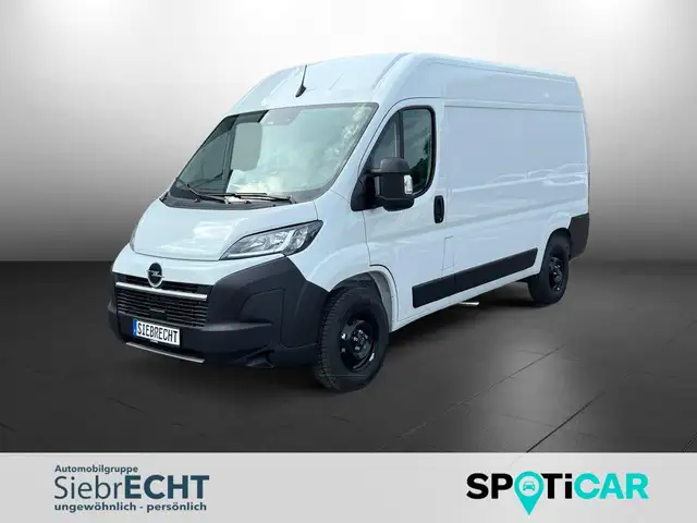 Opel Movano in White for sale