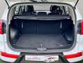 Kia Sportage 1.7 115CV Blanc - thumbnail 23