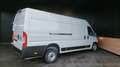 Fiat Ducato III 2.3 Mjet 140 Maxi 3.5 M H2 Business Blanc - thumbnail 2