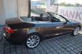 Audi A5 Cabriolet 2.0 TDI*2×S-Line~Navi MMI~Leder Marrone - thumbnail 8