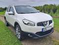Nissan Qashqai Qashqai 1.5 dCi DPF 360 Weiß - thumbnail 1