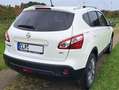 Nissan Qashqai Qashqai 1.5 dCi DPF 360 Weiß - thumbnail 4
