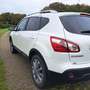 Nissan Qashqai Qashqai 1.5 dCi DPF 360 Weiß - thumbnail 3
