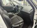 Renault Scenic 1.3 TCe 160 BOSE Edition, 1.Hand, Leder Blanc - thumbnail 13