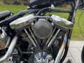 Harley-Davidson Softail softail custom CHOPPER Mauve - thumbnail 6