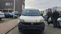 Fiat Doblo Cargo DPF MAXI - thumbnail 1