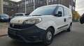 Fiat Doblo Cargo DPF MAXI - thumbnail 2