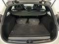 Mercedes-Benz C 300 e T-Modell *AMG Line Advanced, LED-HPS, 9G-Tronic, Weiß - thumbnail 15