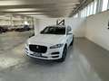Jaguar F-Pace 2.0 D 180CV AWD AUT. PRESTIGE Bianco - thumbnail 3