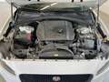 Jaguar F-Pace 2.0 D 180CV AWD AUT. PRESTIGE Bianco - thumbnail 9