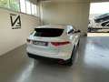 Jaguar F-Pace 2.0 D 180CV AWD AUT. PRESTIGE Bianco - thumbnail 7