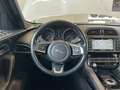 Jaguar F-Pace 2.0 D 180CV AWD AUT. PRESTIGE Bianco - thumbnail 14