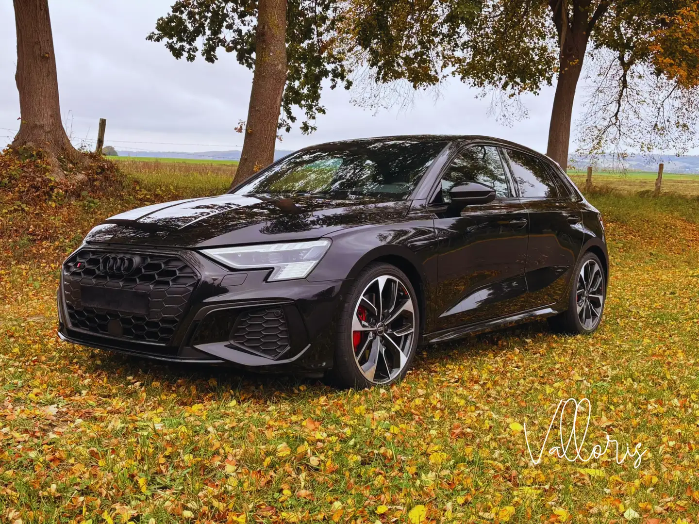 Audi S3 S3 Sportback TFSI 310 S tronic 7 Quattro Noir - 1