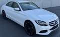 Mercedes-Benz C 220 d 4Matic Exklusive Austria Edition 1.Besitz Weiß - thumbnail 6