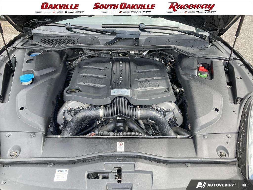 Image 8