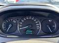 Ford Ka/Ka+ Ka + 1.2 70cv - thumbnail 12