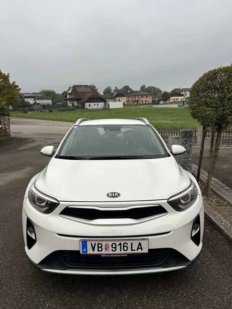 Kia Stonic 1,25/MPI Austria Edition Weiß - 1