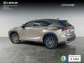 Lexus NX 300 300h Business 2WD Silber - thumbnail 2