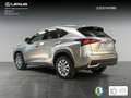 Lexus NX 300 300h Business 2WD Silber - thumbnail 3
