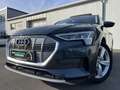 Audi e-tron quattro advanced 181€ m. 20% Anzahlung Head Up P Grau - thumbnail 1